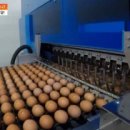 한솔유통 이미지