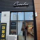 코코리헤어갤러리