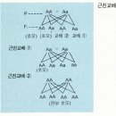 근친교배에 대하여 이미지