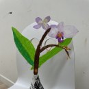 베이니미술학원 이미지