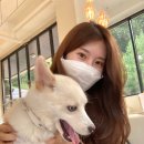 공상가옥 이미지