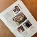 한강진역.블루스퀘어 이미지