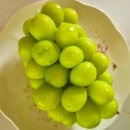 대원청과 이미지