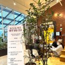 효행로 1R(4->5) | 동탄키즈카페 아스타나키즈 주차 예약 이용방법 초딩형아와 함께한 5살 주말 방문 솔직 후기