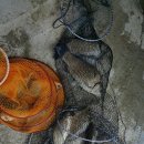 신원낚시터 이미지