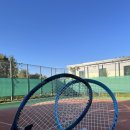 백암테니스장 이미지