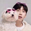 편도선염 이미지