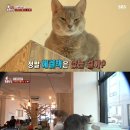 치오 MK스포츠