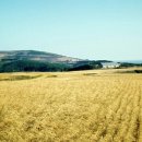 부산광역시 해운대구 이미지