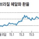 브라질 주식형 펀드 올해 수익률 -30.26% 이미지