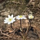 화원1리마을회관 이미지