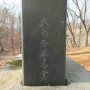 추사 김정희 친필 조기복 묘표 이미지