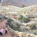 섬진소프트 아시아경제