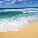 바다 카카오 검색결과