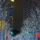 안산고 앞 보도육교 밑 | [롯폰기힐즈 일루미네이션] 일본 겨울 여행지 추천 롯폰기힐즈 포토스팟 포토존 위치