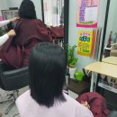 라라샵 붙임머리