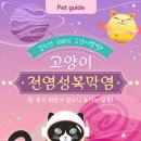 바른동물메디컬센터 이미지