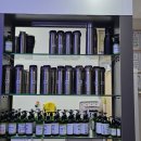 편작하우스 이미지