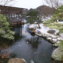 한일인삼