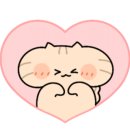 스테이하몽 이미지