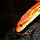 양서·파충류생태공원 2층 이미지