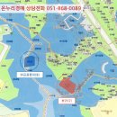 양덕동203 이미지