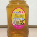 정농장 이미지