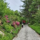 원주굽이길 16코스 황둔쌀찐빵길 이미지