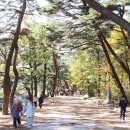 통도사로 이미지