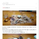 해성농수산물 이미지