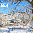 상대동 진주시청 육교 밑 이미지