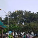 상주은모래비치주차장 이미지