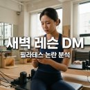 언사교육 | 필라에비뉴 논란, 새벽 레슨 DM 사건 심층 분석