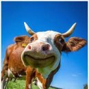 외양간 스튜디오 이미지