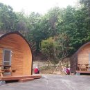 초안산 유아숲체험장 이미지