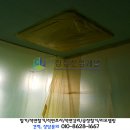 동항초등학교 이미지