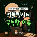 퍼플페이퍼 | "굳이?" 싶었던 퍼플렉시티, 재취업 성공하자마자 구독한 이유 (내돈내산 Perplexity AI 후기)