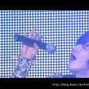 뮤직스타 Daum카페