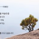 황매산기적길 이미지