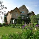 고고씽펜션 이미지