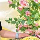 루비까까 이미지