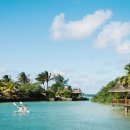 파라다이스 코브 이미지