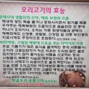 퇴골오리숯불구이홍천본점 이미지