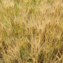 원산리약수터 이미지