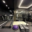 아미쿠스짐 이미지