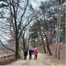 성주장례예식장식당 | 홍유릉 탐방(260118)---종합