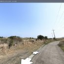 성읍리-18 이미지