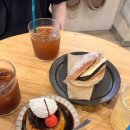 시즌즈(seasons) | 🍮 신주쿠 푸딩 맛집 올 시즌즈 커피(All Seasons Coffee) 후기 | 도쿄 감성카페 추천 ☕️