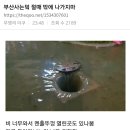 부산 지금 멘홀 뚜껑 열림 절대 나가지마 이미지