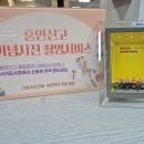 서귀포시청(1청사) 이미지